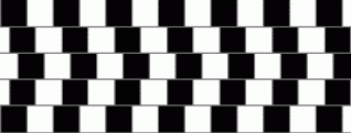 L'arte dell'illusione ottica by PITTart.com
